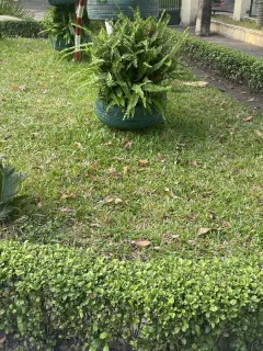 Gia sư Nguyễn Văn A dạy kèm tại nhà