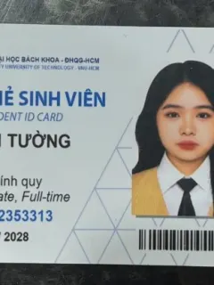 Gia sư Nguyễn Tường Vân dạy kèm tại nhà